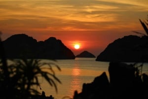 Excursion d'une demi-journée dans la baie de Lan Ha ( 4 heures ) : Kayak, plongée en apnée