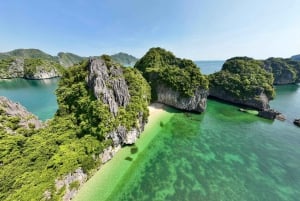 Excursion d'une demi-journée dans la baie de Lan Ha ( 4 heures ) : Kayak, plongée en apnée