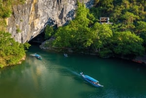 Aventure d'une demi-journée dans les grottes de Phong Nha en bateau-dragon