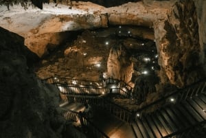 Aventure d'une demi-journée dans les grottes de Phong Nha en bateau-dragon