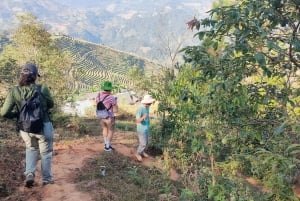 Half Day Private Trekking Mu Cang Chai_Morning or Afternoon