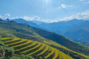 Half Day Private Trekking Mu Cang Chai_Morning or Afternoon