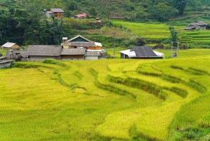 Sa Pa: Half-Day Cat Cat Village Hike to Meet H'mong People