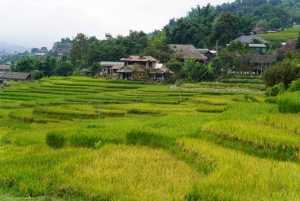 Sa Pa: Half-Day Cat Cat Village Hike to Meet H'mong People