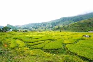 Sa Pa: Half-Day Cat Cat Village Hike to Meet H'mong People