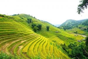 Sa Pa: Half-Day Cat Cat Village Hike to Meet H'mong People