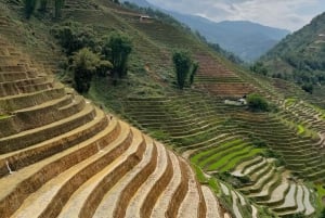Sapa Trekking Private Tour With Ethnic Female Tour Guide