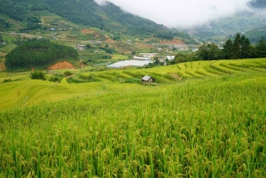 Halvdags Sapa Trekking for at besøge Lao Chai - Ta Van