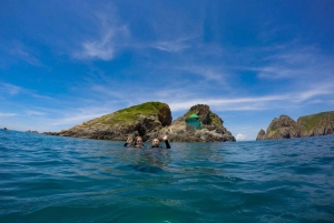 Half-Day Snorkeling trip in Nha Trang with Vietnam Active