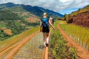 Half Day Private Trekking Mu Cang Chai_Morning or Afternoon
