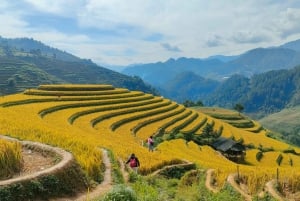 Half Day Private Trekking Mu Cang Chai_Morning or Afternoon