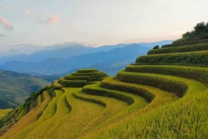 Half Day Private Trekking Mu Cang Chai_Morning or Afternoon