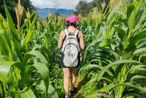 Half Day Private Trekking Mu Cang Chai_Morning or Afternoon