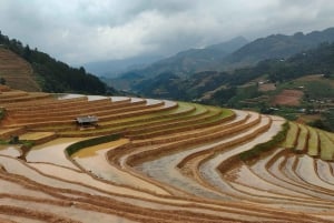 Half Day Private Trekking Mu Cang Chai_Morning or Afternoon