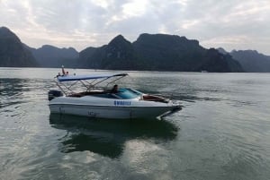 Aventura de 2 horas en lancha motora por la bahía de Halong