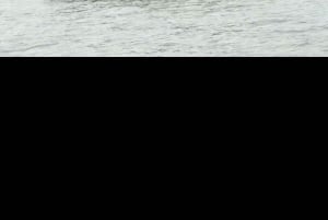 Aventura de 2 horas en lancha motora por la bahía de Halong