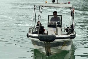 Aventura de 2 horas en lancha motora por la bahía de Halong