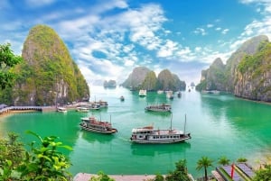 Ha Long Bay: 4-timmars kryssning med grottor, kajakpaddling och lunch