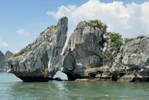 Halonginlahti: Cat Ban kansallispuiston vaellus ja lounas