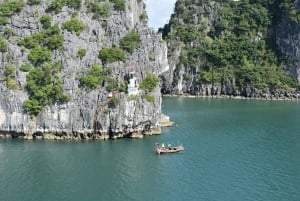 Halong Bay: Day Cruise from Halong Port Shore Excursion