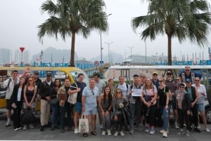Halong Bay: Day Cruise from Halong Port Shore Excursion