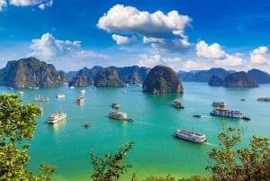 Halong Bayn päiväretki Apollo Premium Cruise -risteilyllä 99