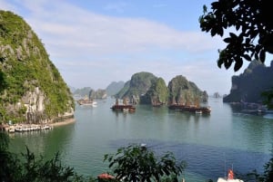 Excursion d'une journée dans la baie d'Halong avec Apollo Premium Cruise 99