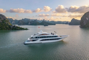 Halong Bay: Leona Dinner Cruise with Fireworks Show