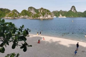 Crociera nella baia di Ha Long 3 giorni e 2 notti con cabina con balcone, grotte e isola