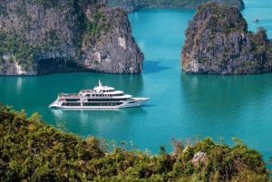 Baía de Halong: Cruzeiro Sea Octopus com almoço e visita a uma gruta