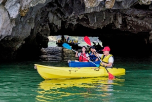 Baía de Halong: Cruzeiro Sea Octopus com almoço e visita a uma gruta