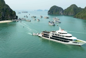 Baía de Halong: Cruzeiro Sea Octopus com almoço e visita a uma gruta