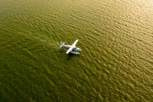 Watervliegtuig Halong Bay - Een vogelvlucht vanuit de lucht