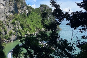 Wyprawa do Zatoki Halong: 5-godzinny rejs z lunchem