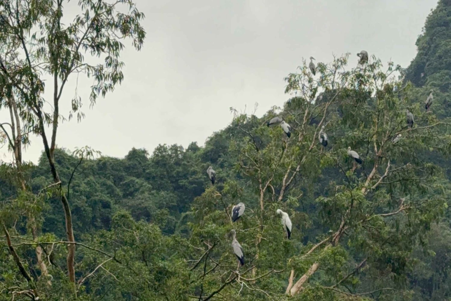 Landutflukt fra Halong havn: 2-dagers privat omvisning i Ninh Binh