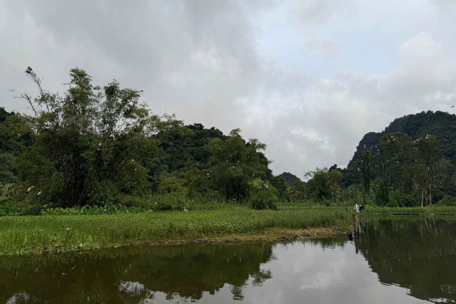 Landutflukt fra Halong havn: 2-dagers privat omvisning i Ninh Binh