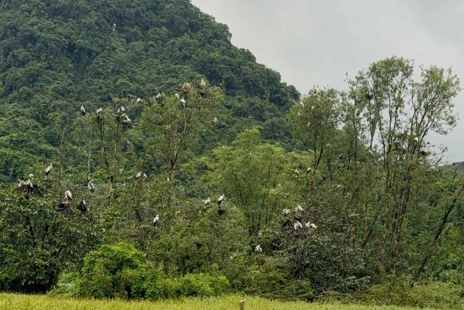 Landutflukt fra Halong havn: 2-dagers privat omvisning i Ninh Binh