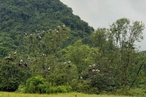 Landutflukt fra Halong havn: 2-dagers privat omvisning i Ninh Binh