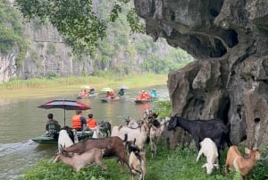 Landutflukt fra Halong havn: 2-dagers privat omvisning i Ninh Binh