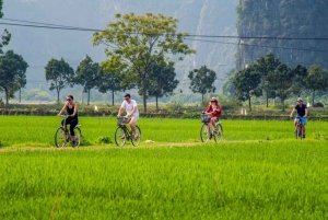 Fra Hanoi: 2-dagers tur til Ninh Binh og Ha Long Bay med luksuscruise