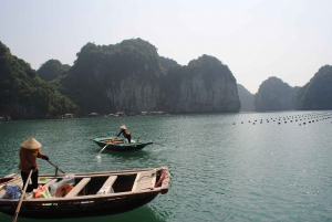 Hanoi: 1-päiväinen Ha Long Bayn risteily/Titop-saari ja Luonin luola