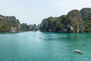 Hanoi: 1-Daagse Ha Long Bay Cruise/Titop eiland & Luon Grot