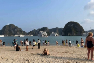 Hanoi: Crucero de 1 día por la Bahía de Ha Long/Isla Pitop y Cueva de Luon