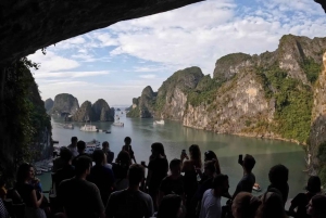 Hanoi: Crociera di 1 giorno nella Baia di Ha Long/isola di Tito e Grotta di Luon