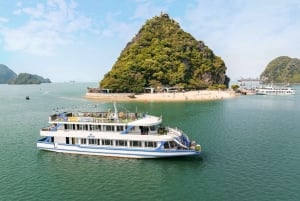 Hanoi : Croisière d'une journée dans la baie d'Halong avec baignade et kayak