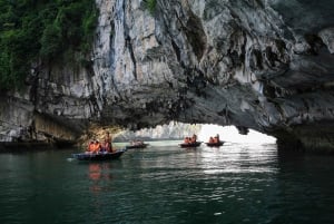 Hanoi: 1-dags Ha Long Bay-krydstogt med Titop Island og Luon Cave