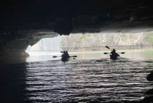Hanoi: 1-tägige Ha Long Bay Kreuzfahrt mit Titop Insel & Luon Höhle
