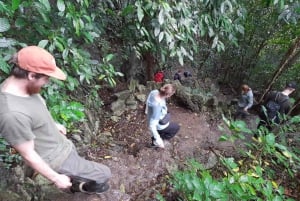 Hanói: Excursão de 2 dias a Ninh Binh e Parque Cuc Phuong Wildlife