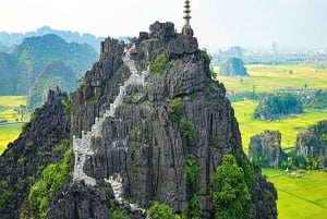 Hanoi: 2-dages tur til Ninh Binh – Cuc Phuong-junglen og Tam Coc på cykel