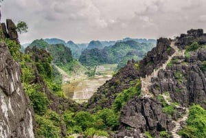 Hanoi: 2-dages tur til Ninh Binh – Cuc Phuong-junglen og Tam Coc på cykel